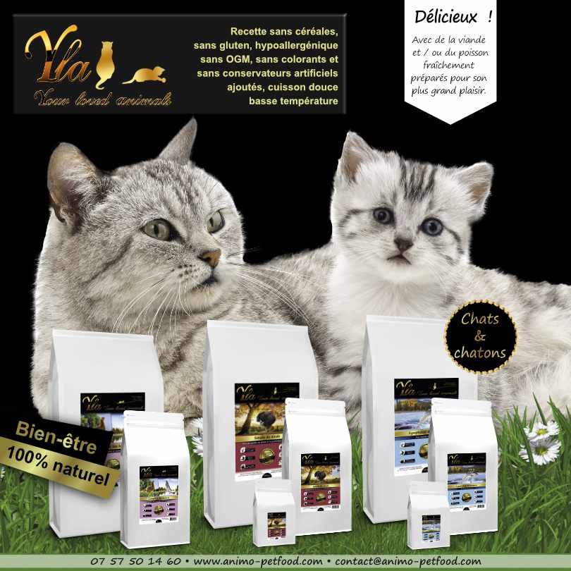 croquettes-sans-cereales-ni-gluten-pour-chat